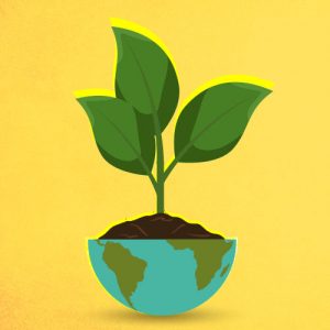As lições do Greenpeace para o investimento ESG